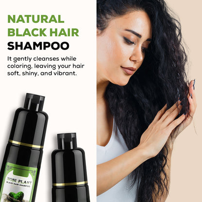 Black Hair Herbal Shampoo